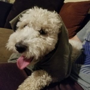 Meet your Posher, Brianda